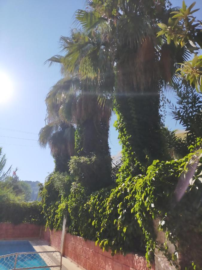 Ali Baba Otel Marmaris Eksteriør bilde